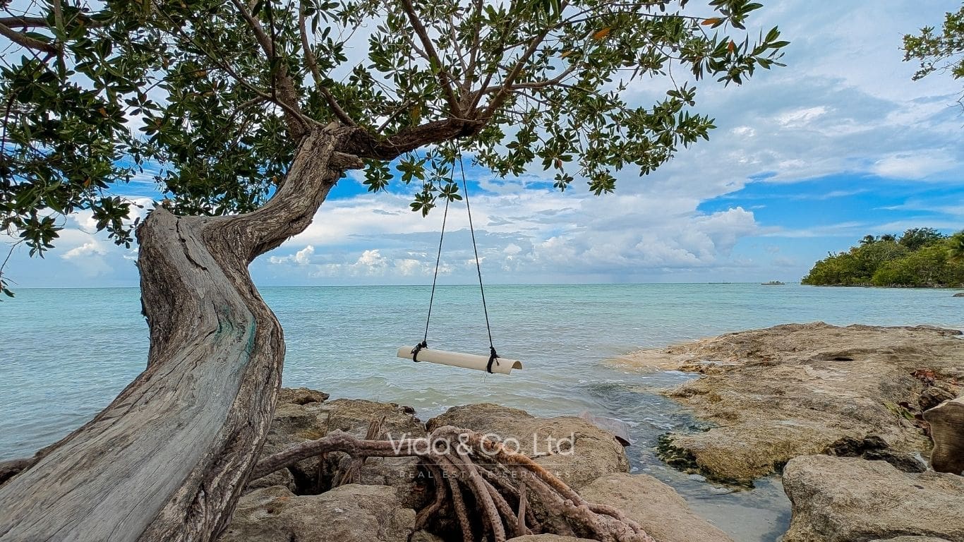 SARTENEJA, BELIZE (7)